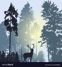 Avatar for Big Country Construction