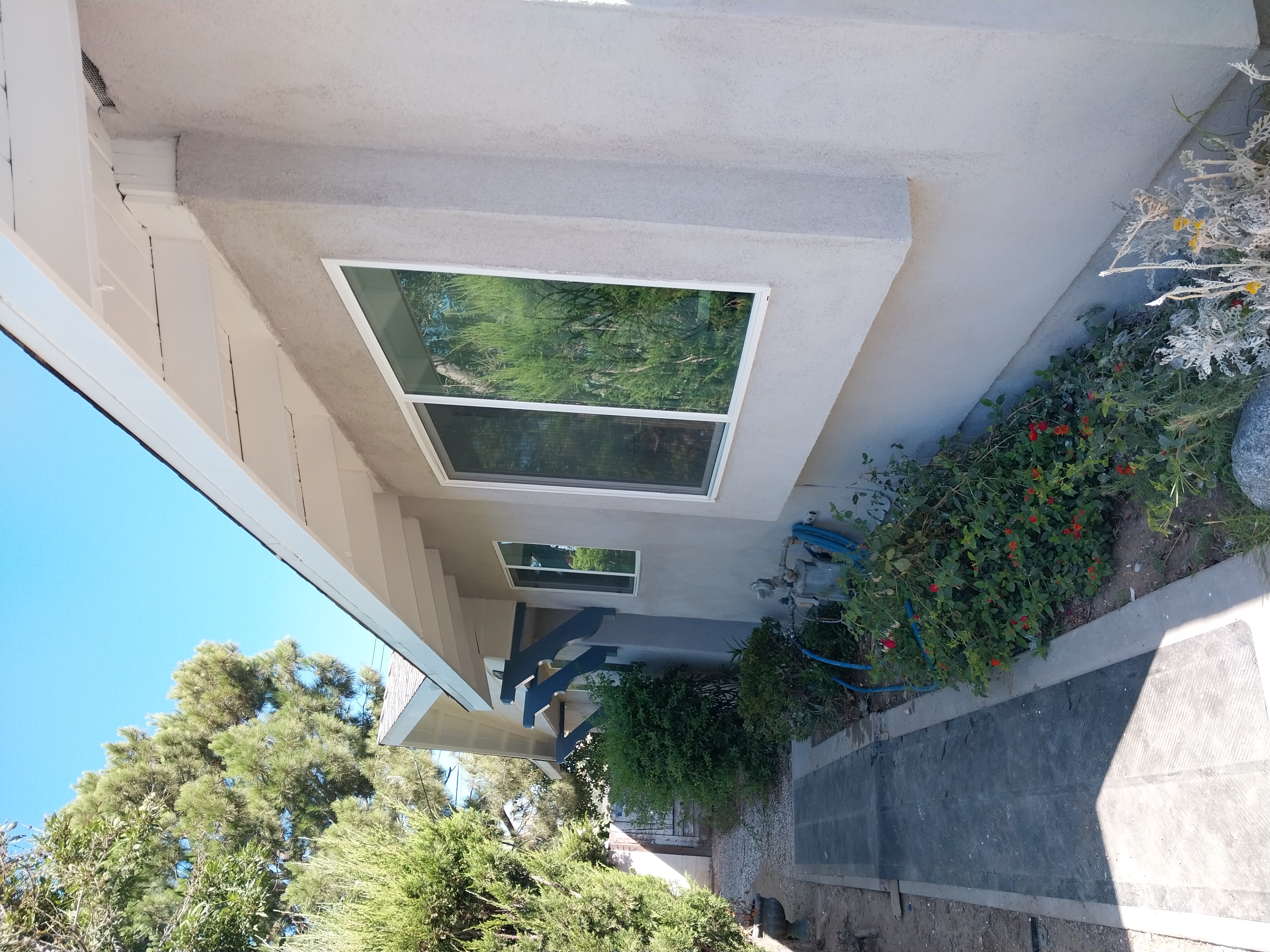 Avatar for Hidalgo painting