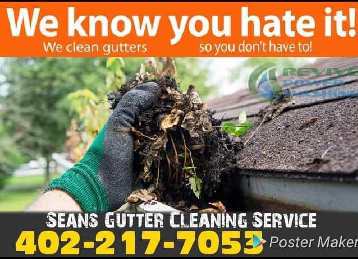 Avatar for Sean's gutter cleaning service