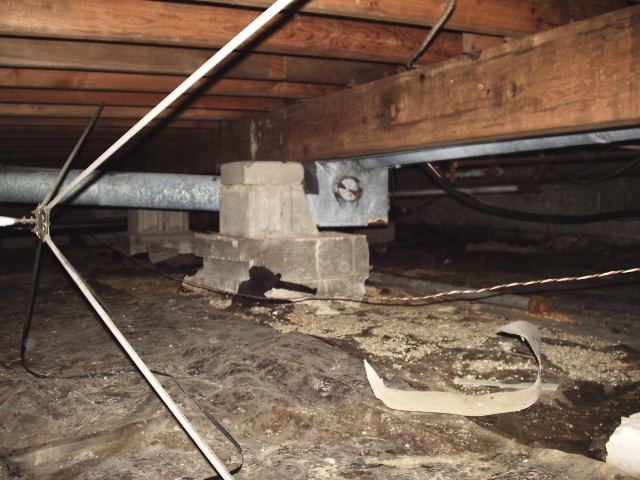 Avatar for Principle Home Inspection Services