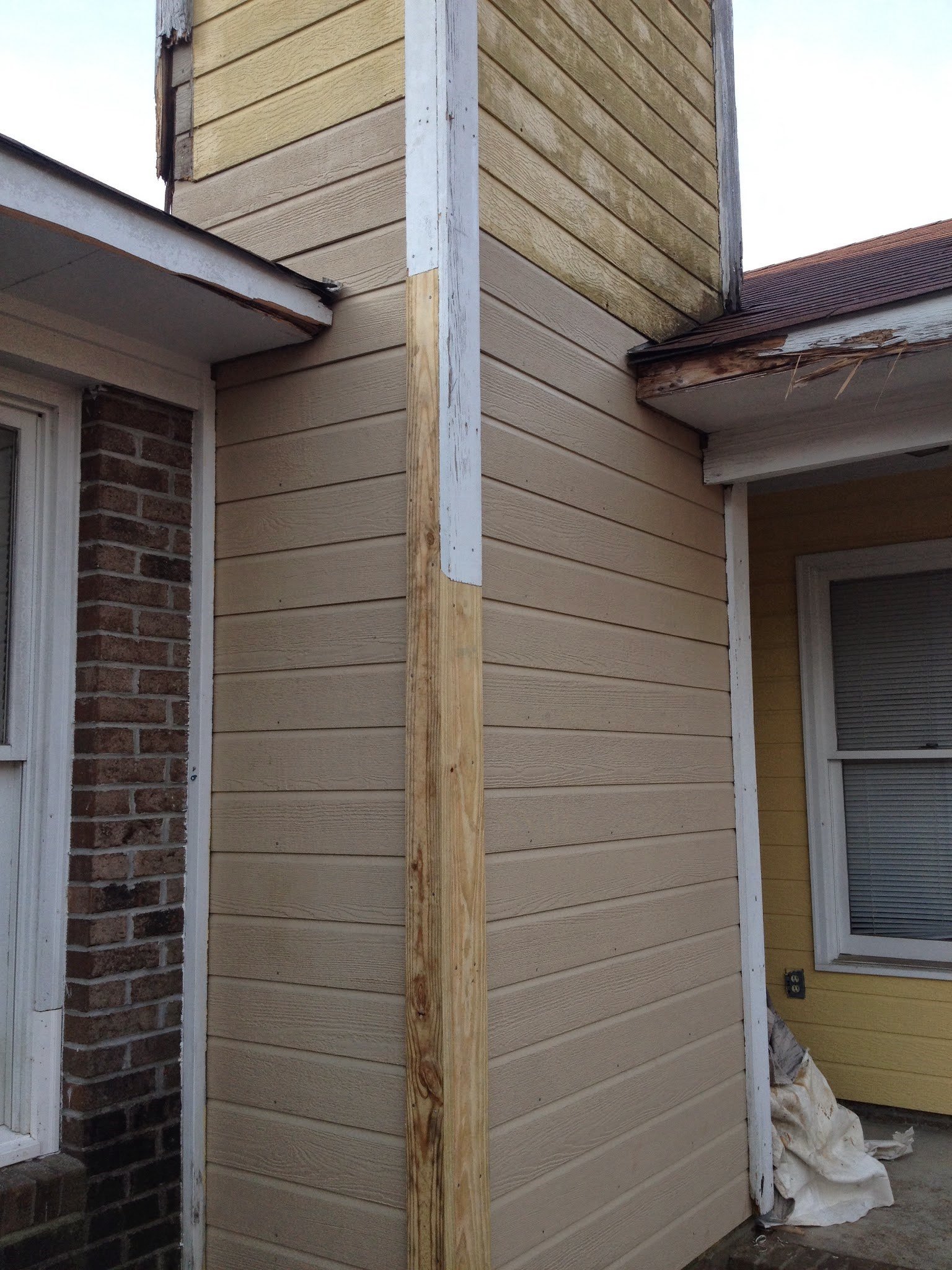 Avatar for Jireh Painting