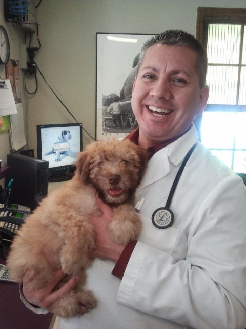 Logo for CAMELBACK ANIMAL HOSPITAL