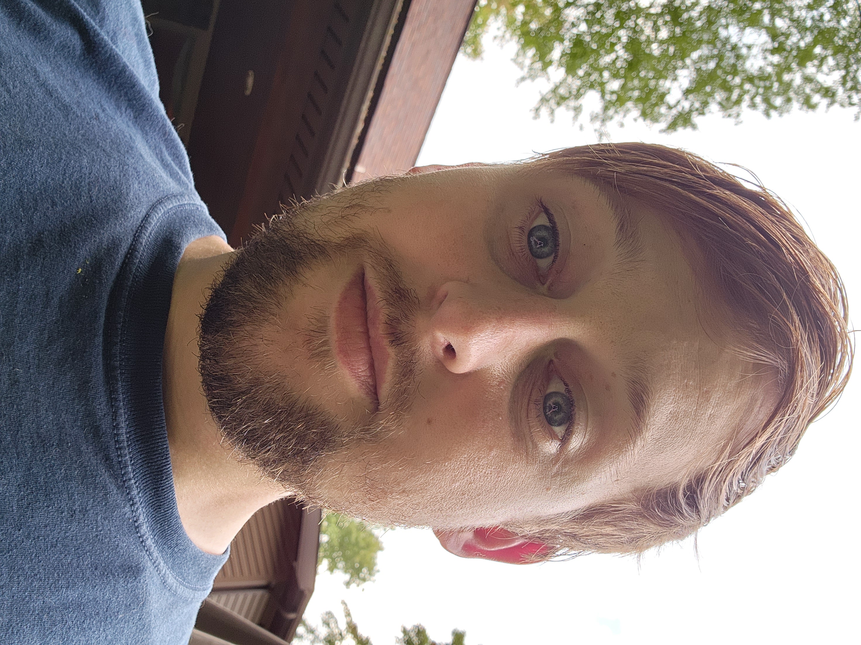 Avatar for Matthew Sines