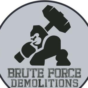 Avatar for Brute Force demolitions