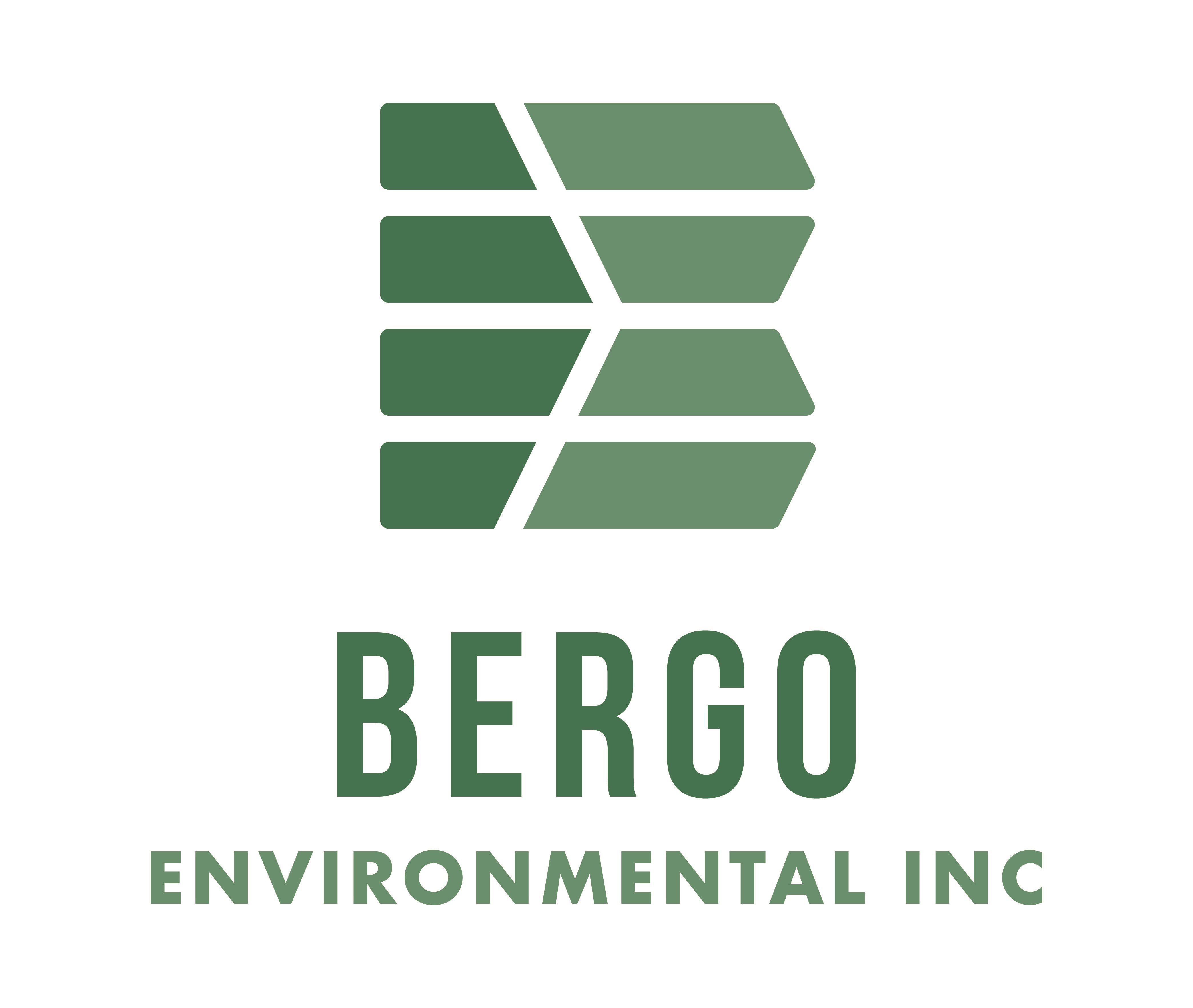 Avatar for Bergo Environmental Inc