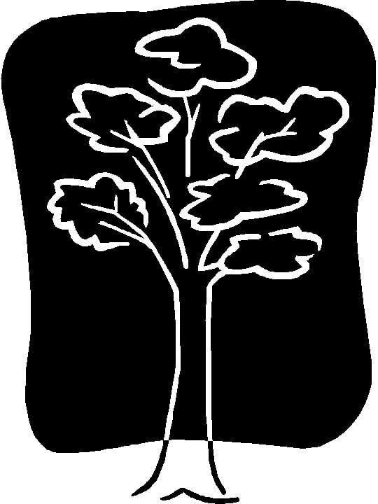 Avatar for Texas Lawn Services