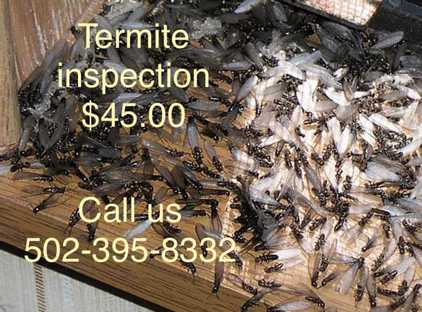 Burrell Pest Control Reviews Lawrenceburg, KY Angi