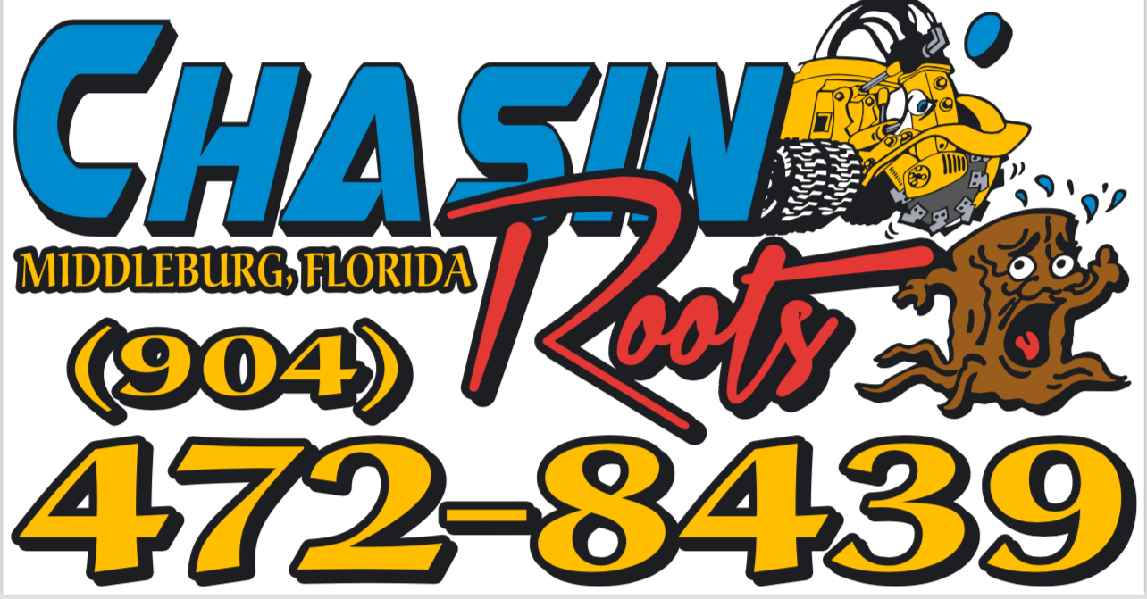 Avatar for Chasin' Roots