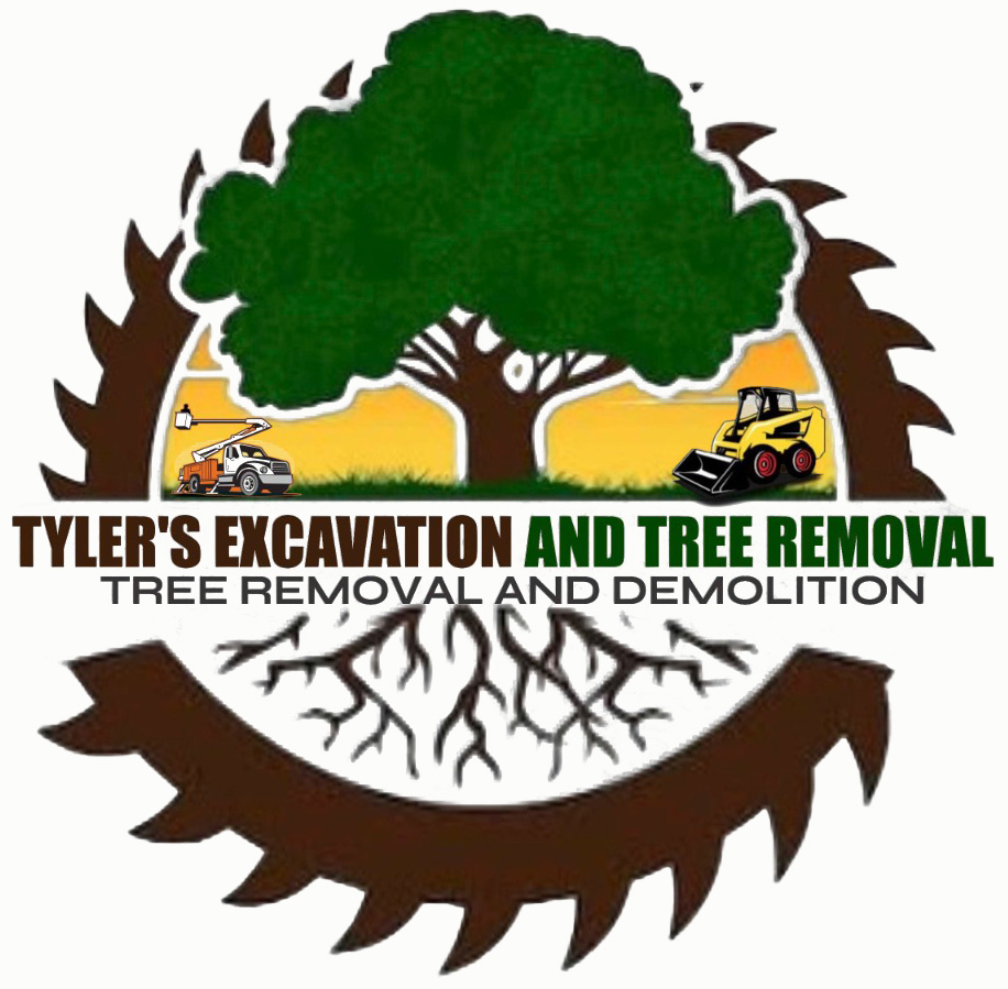 Avatar for Tyler's excavation and tree removal