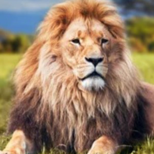 Avatar for Quality Services LLC.