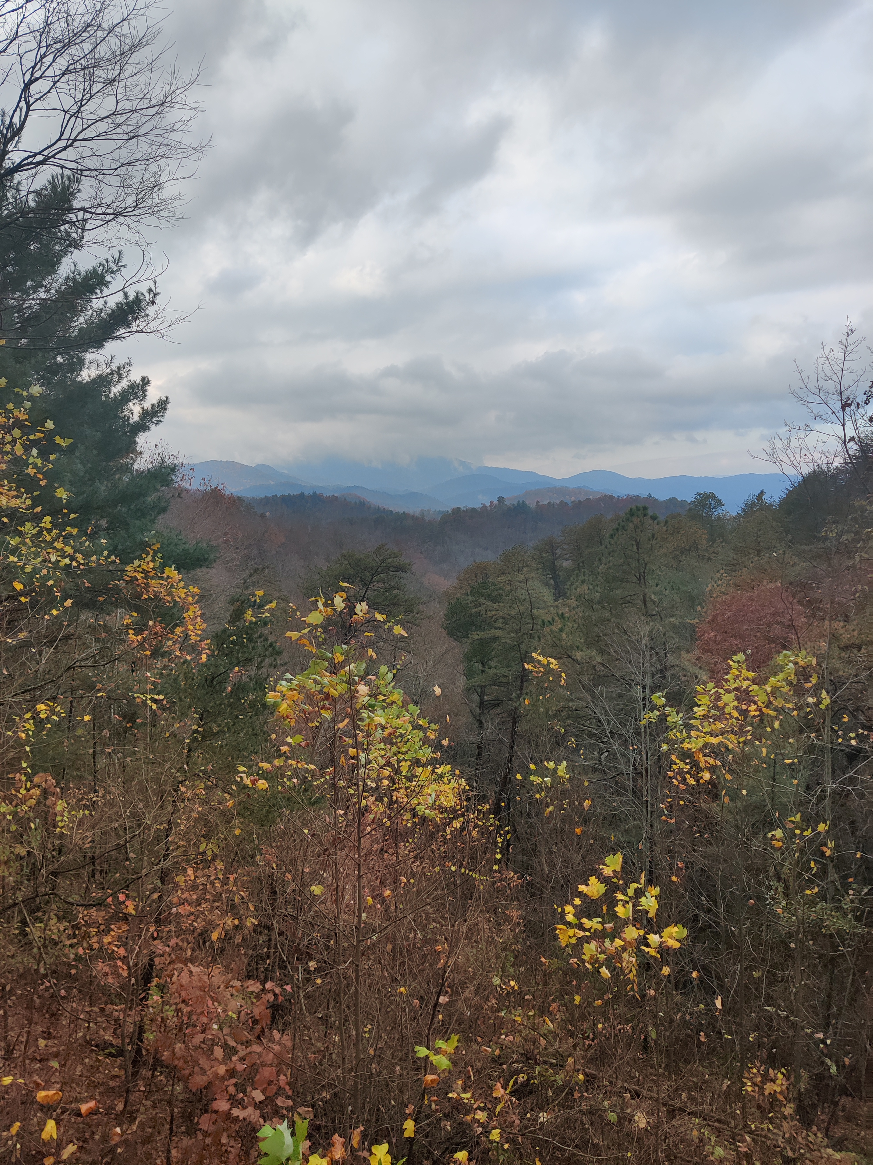 Avatar for Jeremy Forsythe