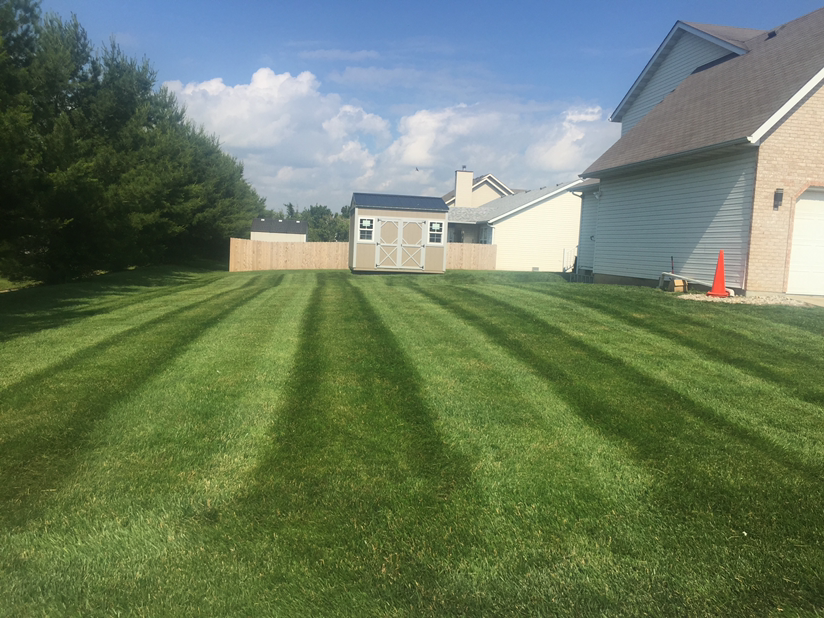 Avatar for Chabod Construction and Landscaping