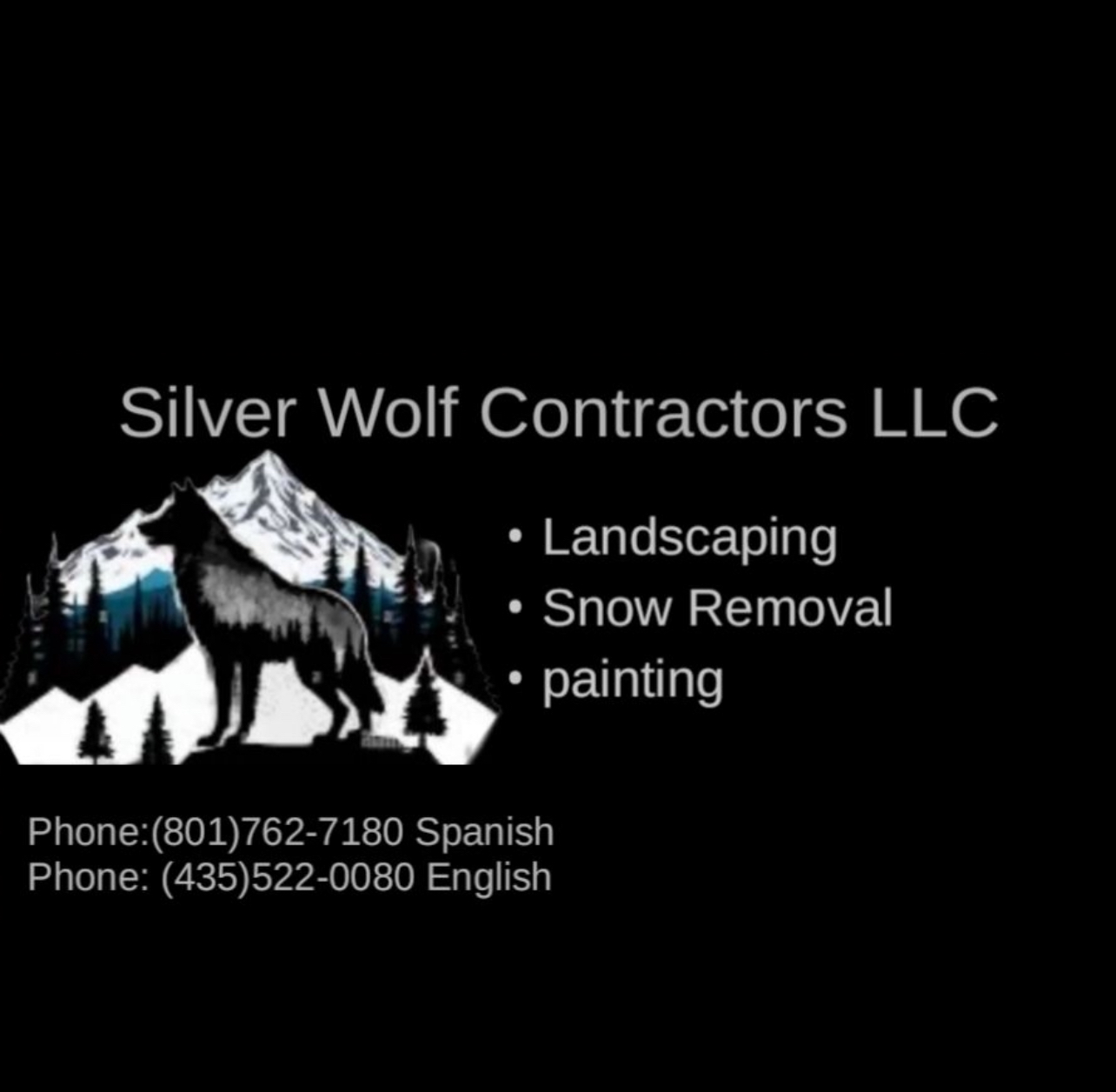 Avatar for Silver wolf contractors LLC