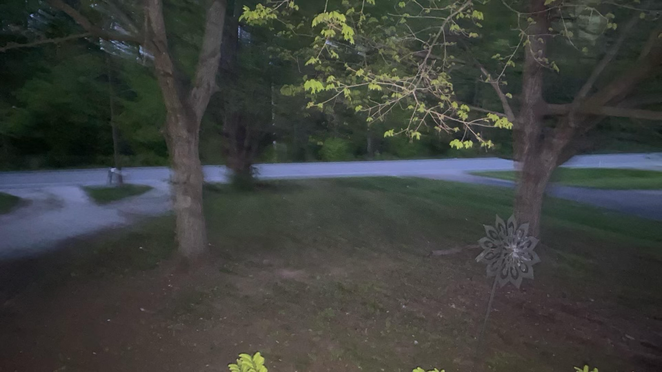 Avatar for Thomas mowing and landscaping