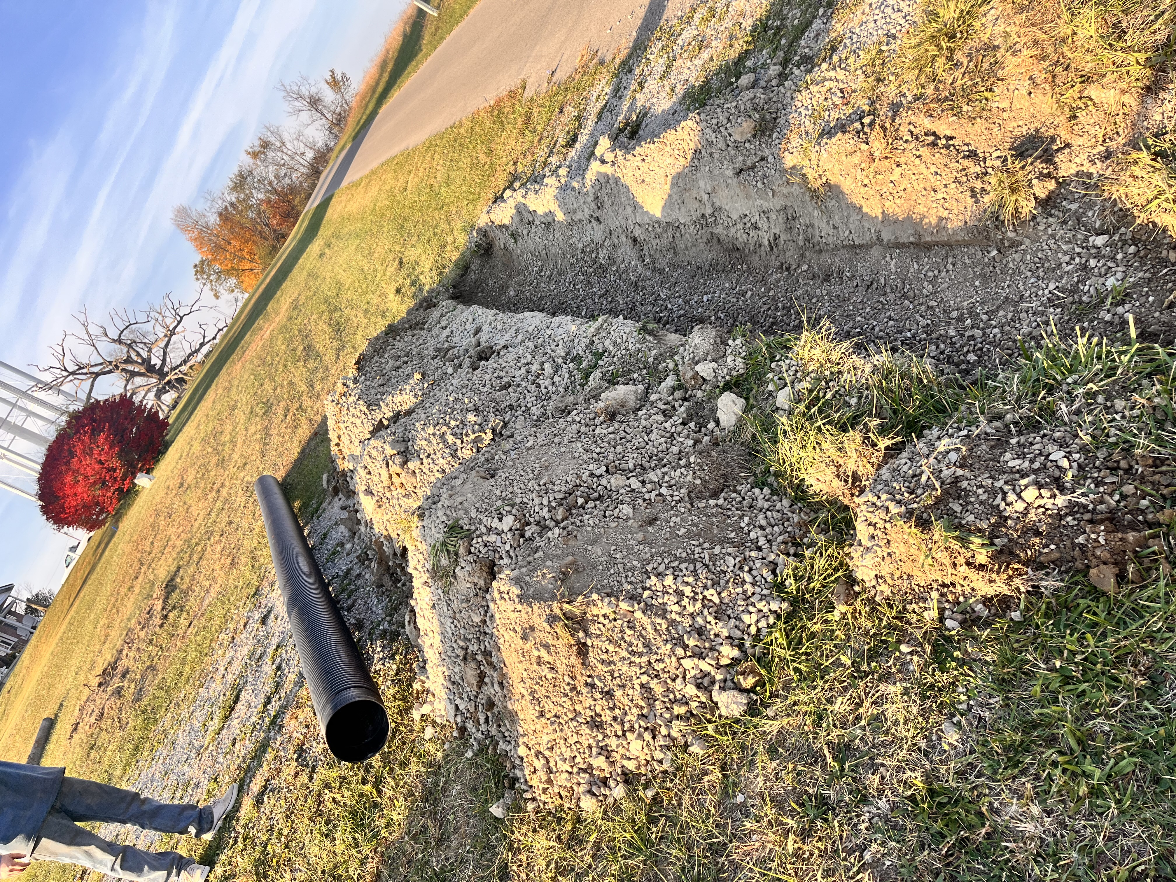 Avatar for Garrison bro