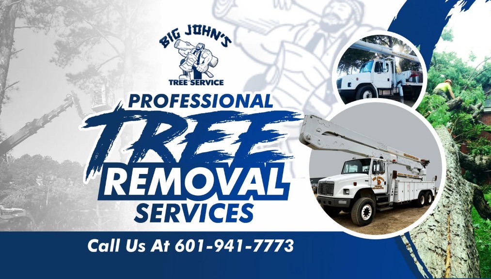 Avatar for Big John's Tree Service LLC