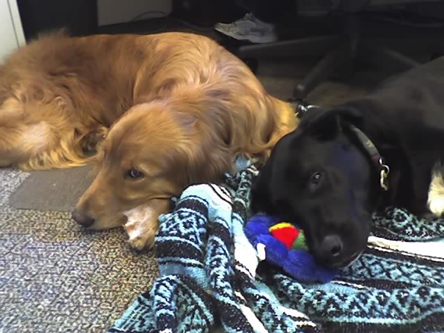 Harley & Wyatt