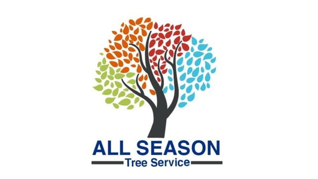 Avatar for All season tree service