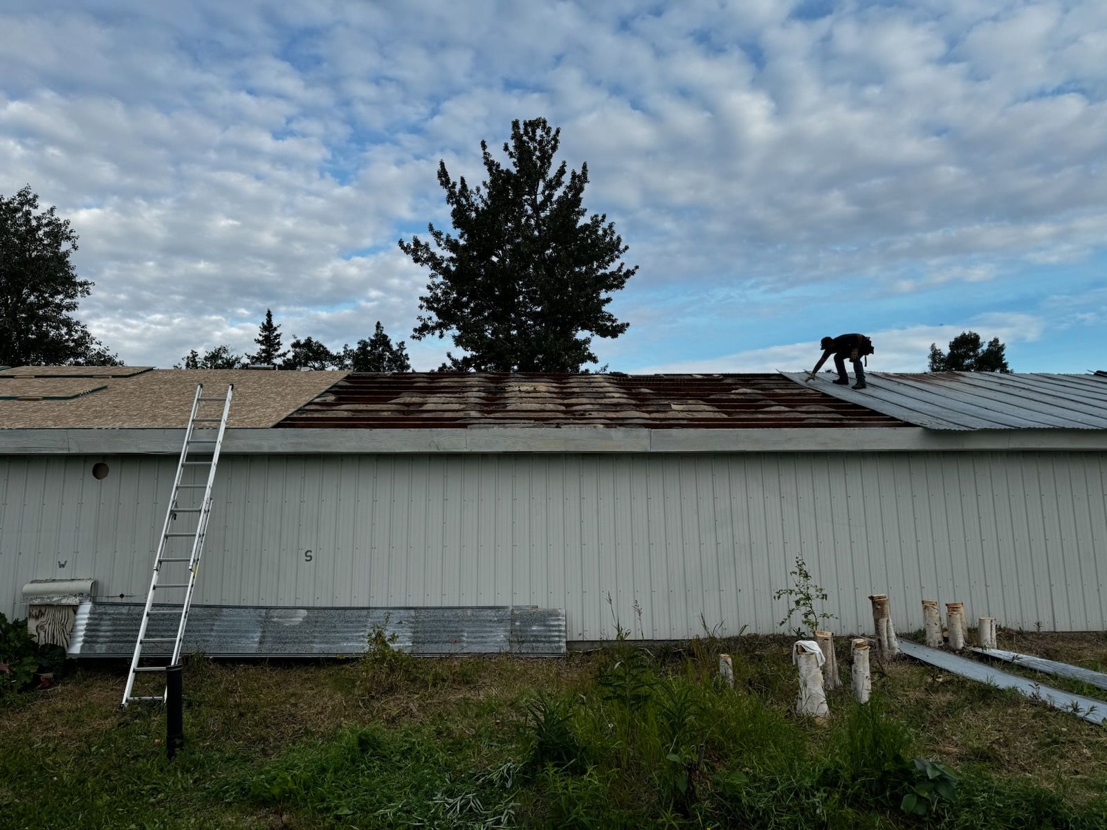 Avatar for Cavalry construction 