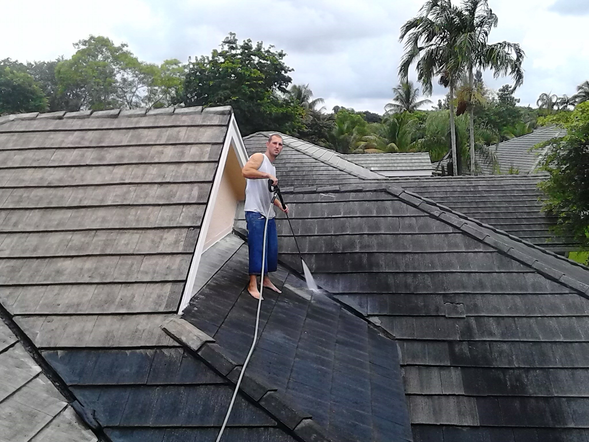 Roof Wash