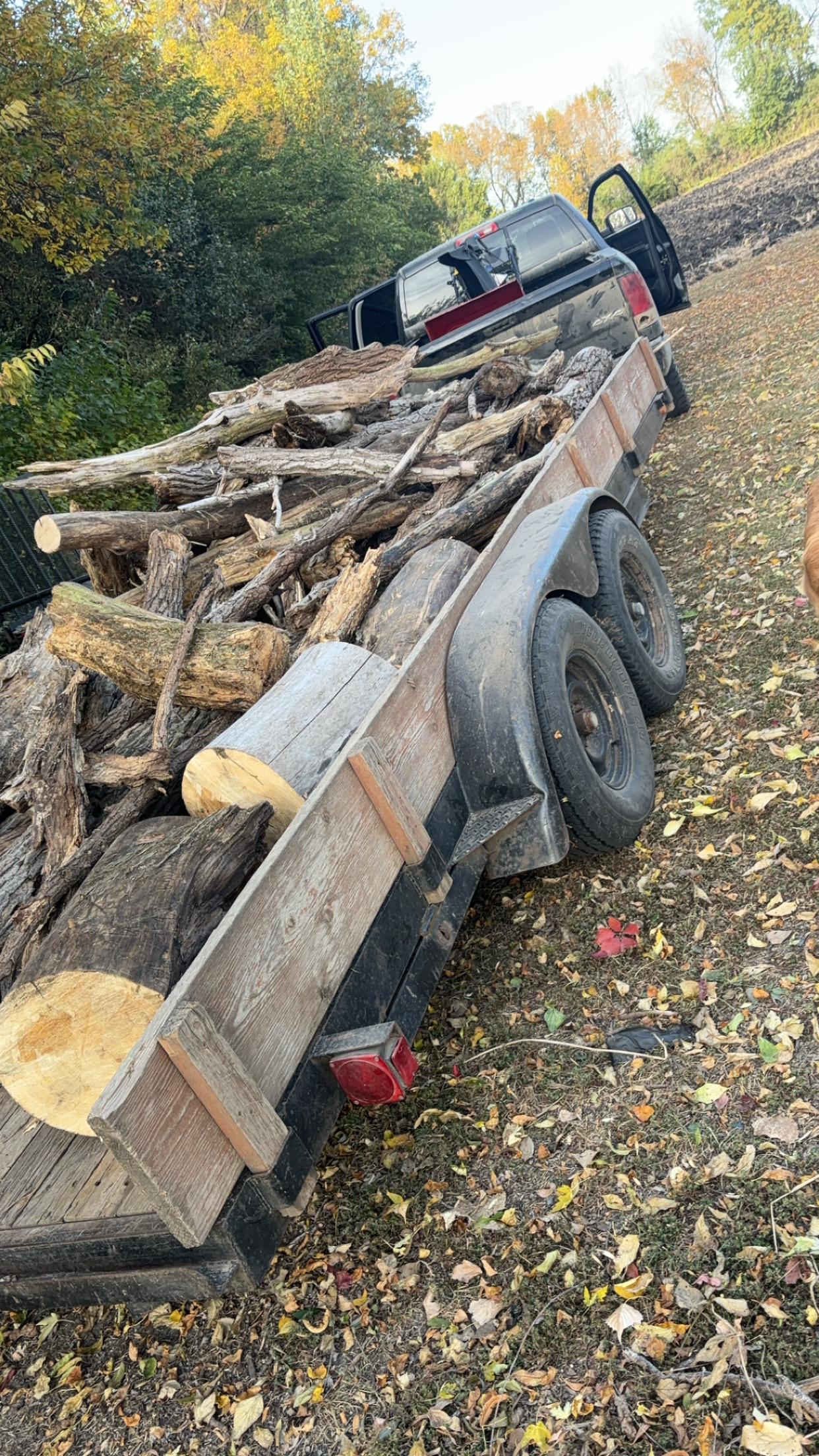 Avatar for Zach’s tree service