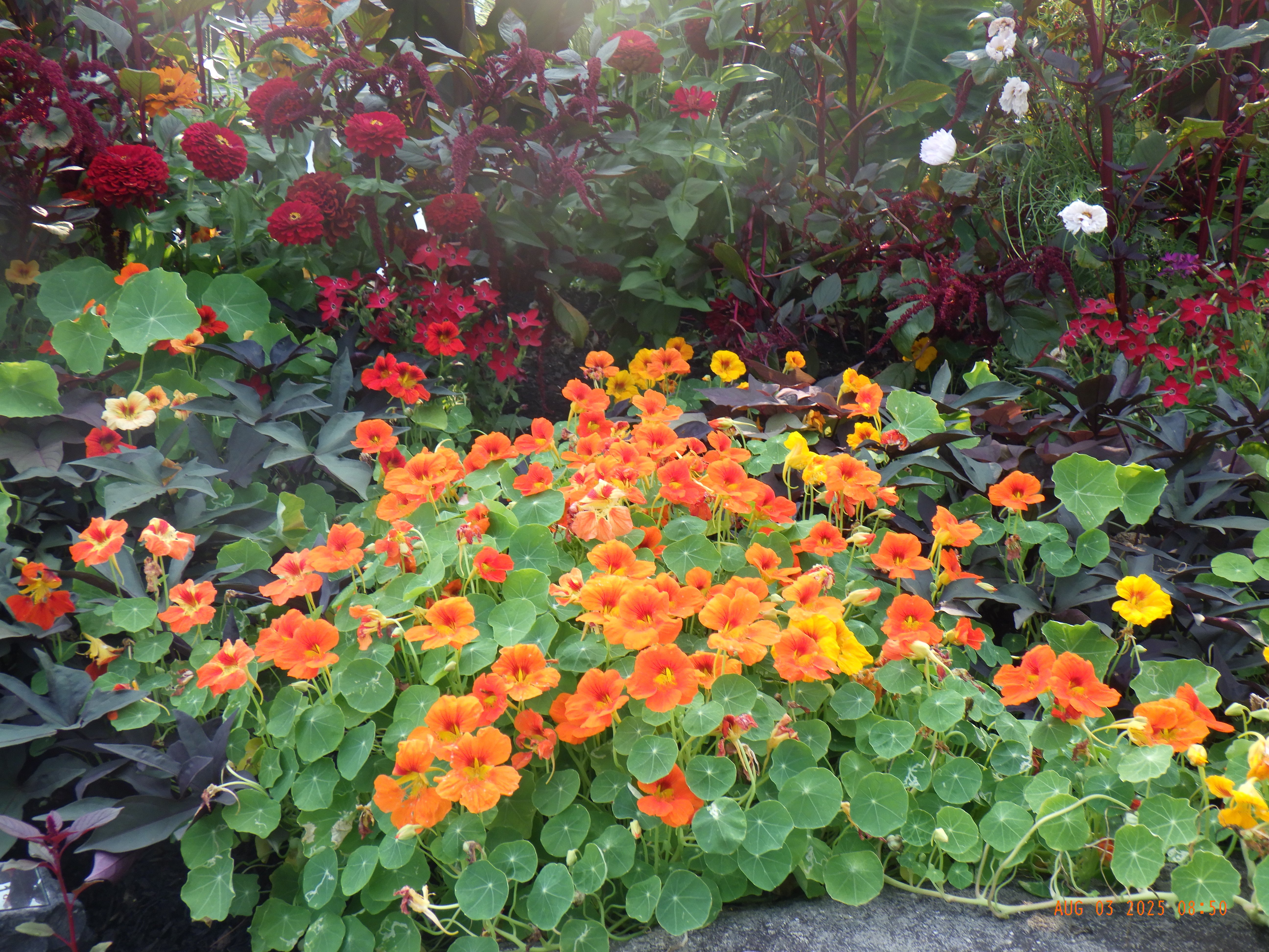 Avatar for Greenleafs Garden Design