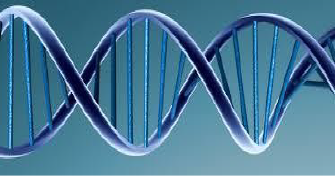 Avatar for DNA Technical Solutions