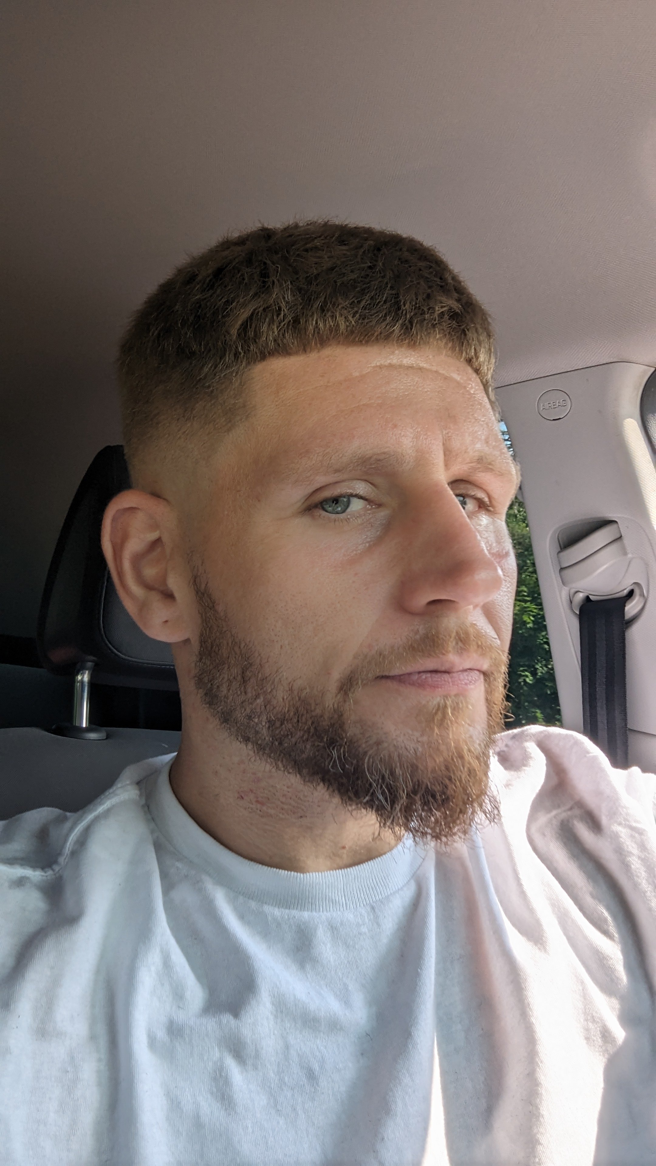 Avatar for Ant will do it handyman