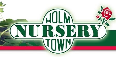 Avatar for HOLM TOWN NURSERY