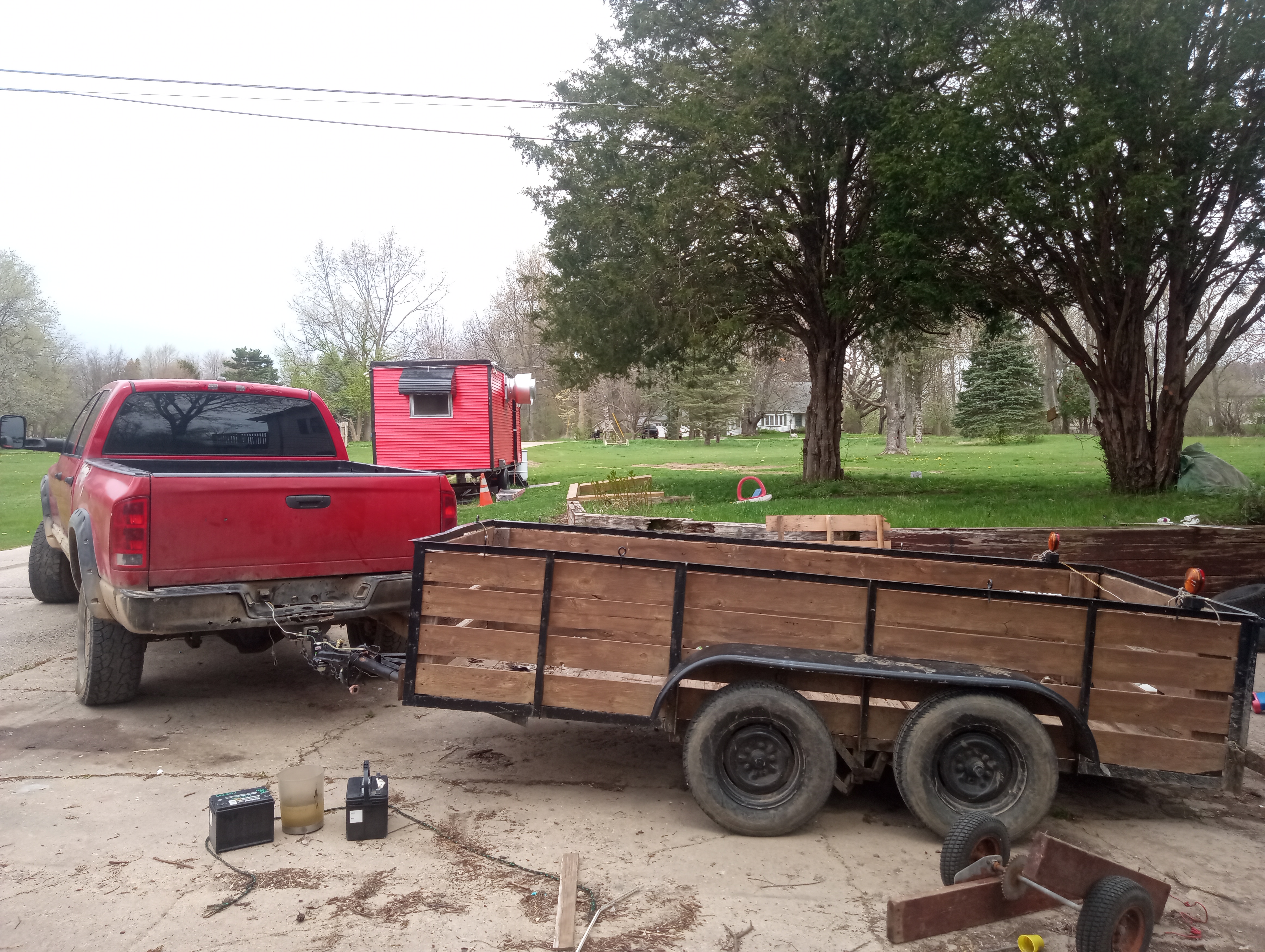 Avatar for Dreaming green 