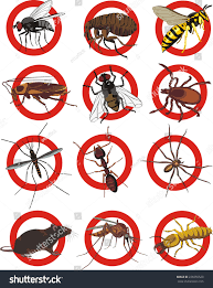Avatar for Buzz Off Pest Solutions And Removal