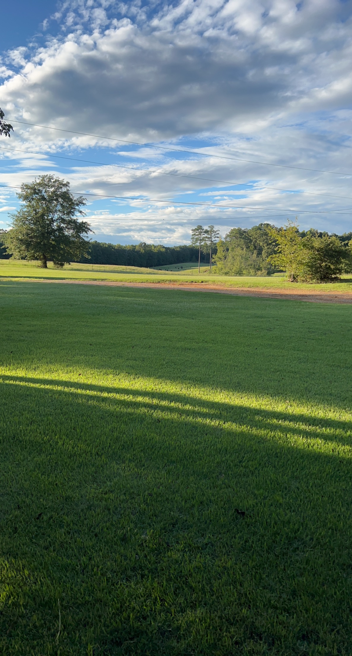 Avatar for Wesley Umfress