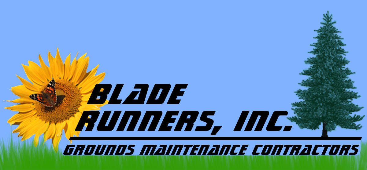 Blade Runners Inc Reviews Fairfax, VA Angi