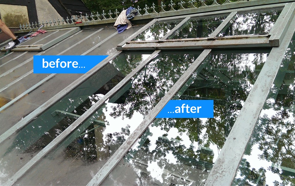 Winter garden cleaning