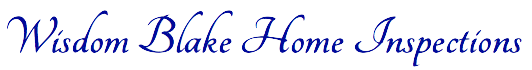 Logo for Wisdom Blake LLC