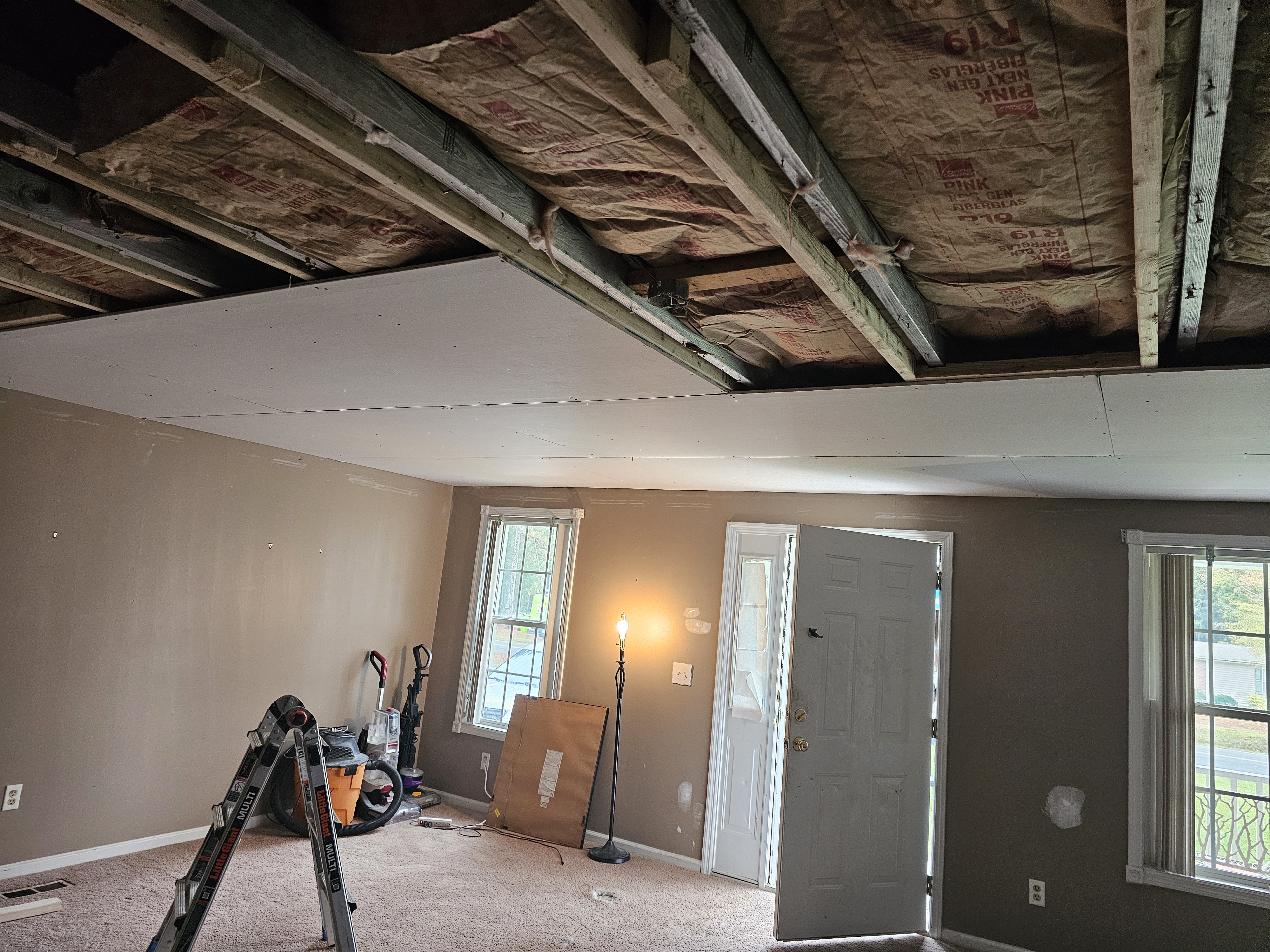 Avatar for Vg remodeling