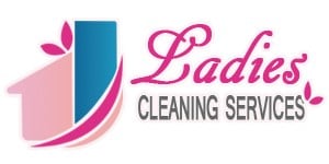 #1 LADIES CLEANING COMPANY logo
