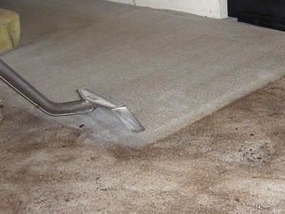 Carpet Cleaning