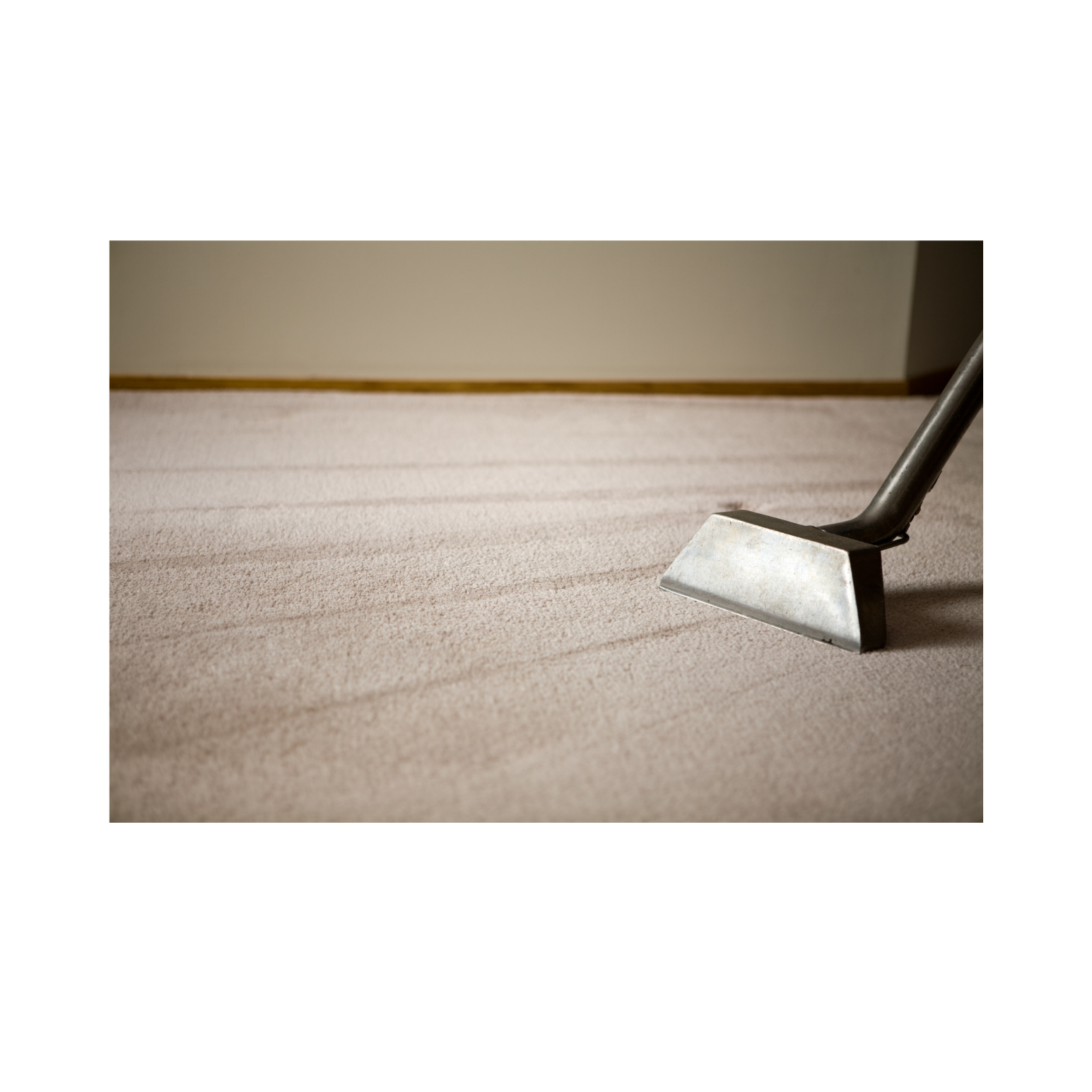 Avatar for JW Carpet Cleaning