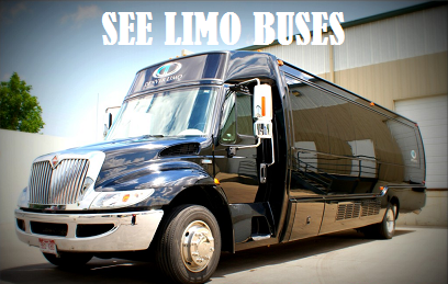 Limo Bus
