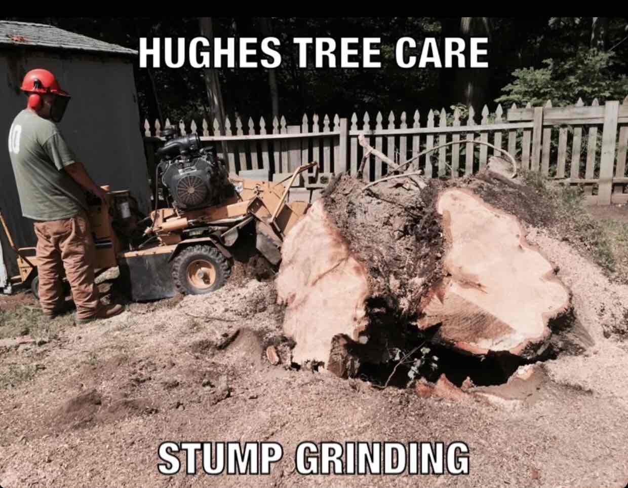 Avatar for Hughes Tree Care