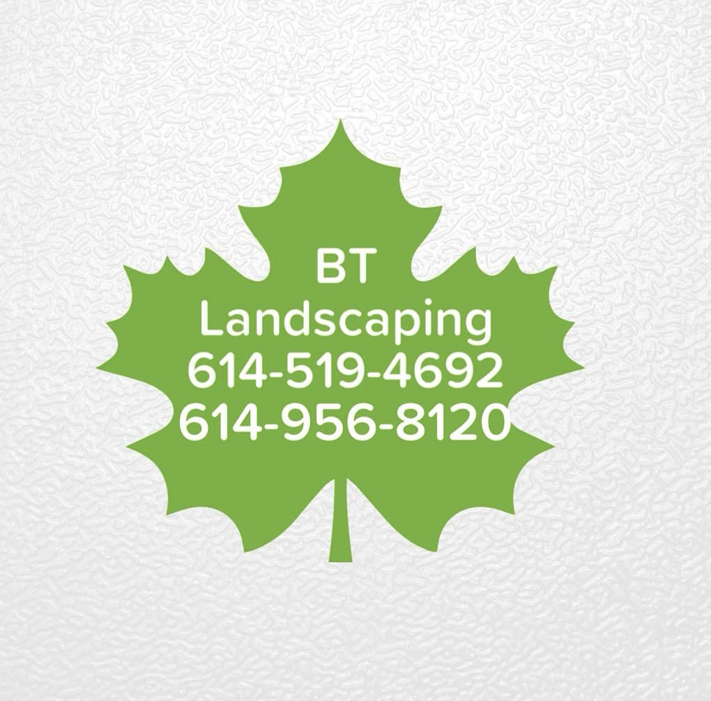 Avatar for BT Landscaping