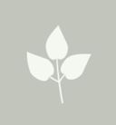 Avatar for Julie Anne Interiors