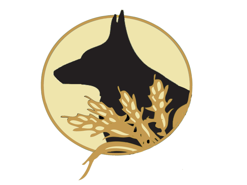 Avatar for Black and Tan Construction