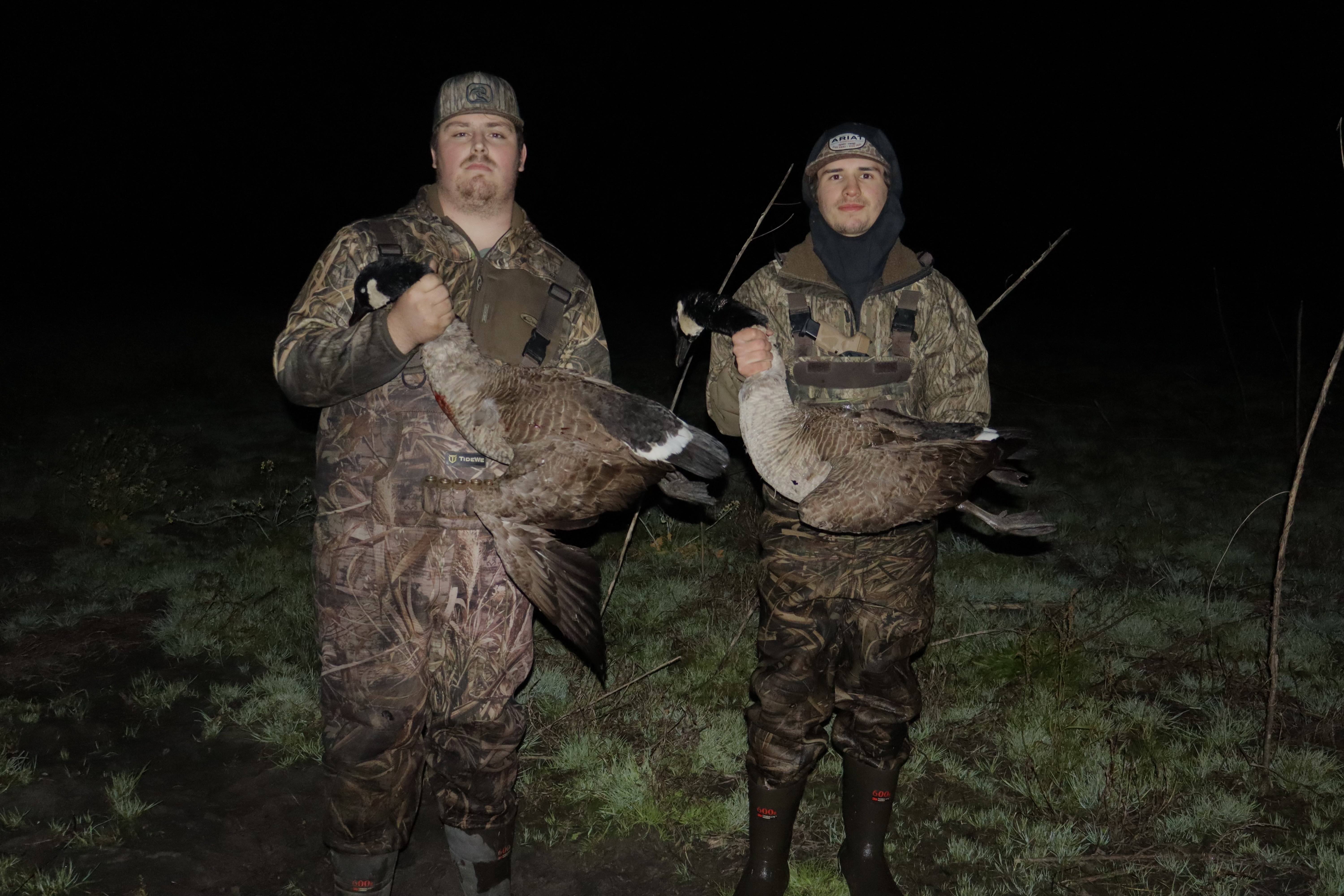 Avatar for Total fiber