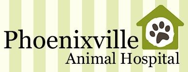 Logo for PHOENIXVILLE ANIMAL HOSPITAL