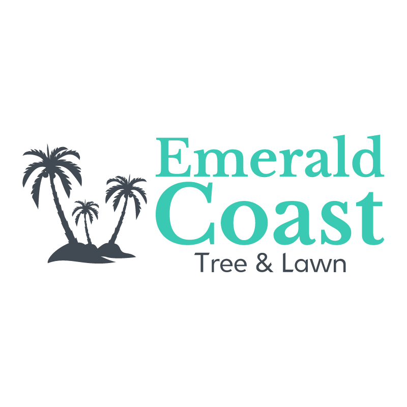 Avatar for Emerald Coast Tree & Lawn