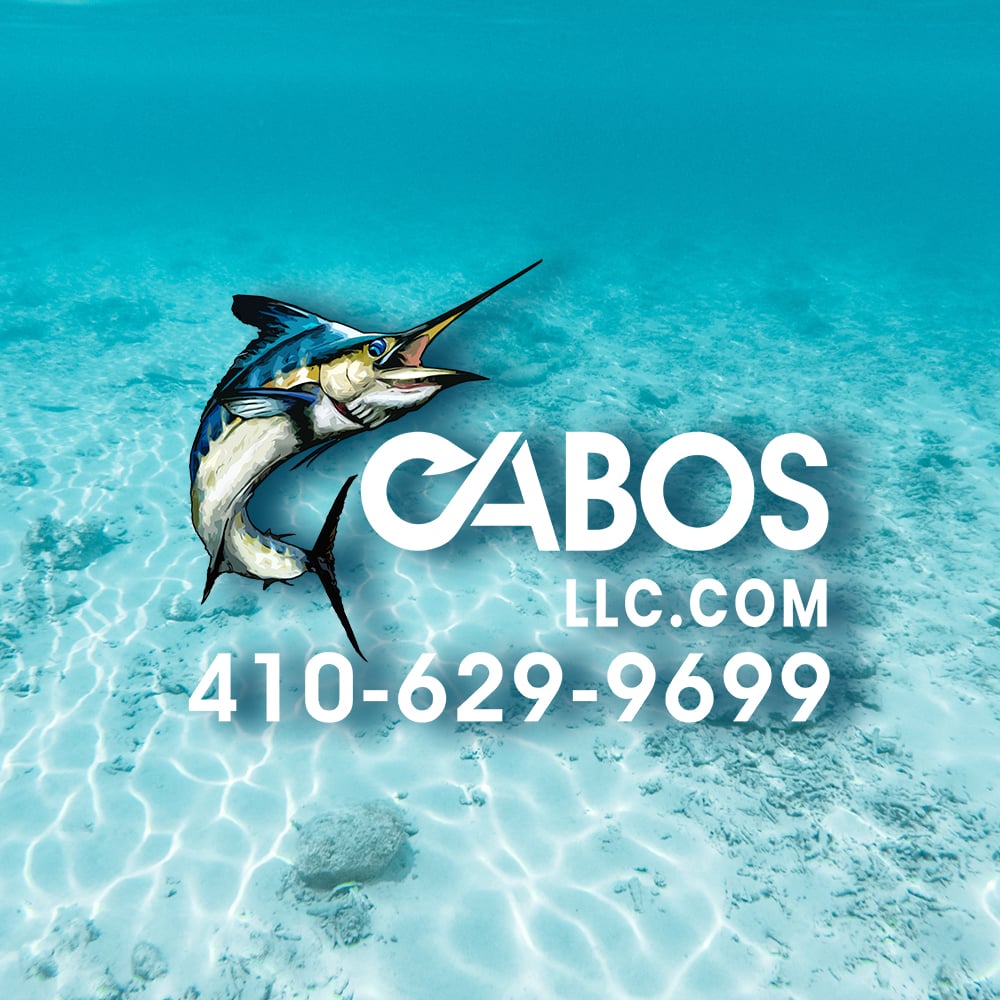 Avatar for Cabos LLC