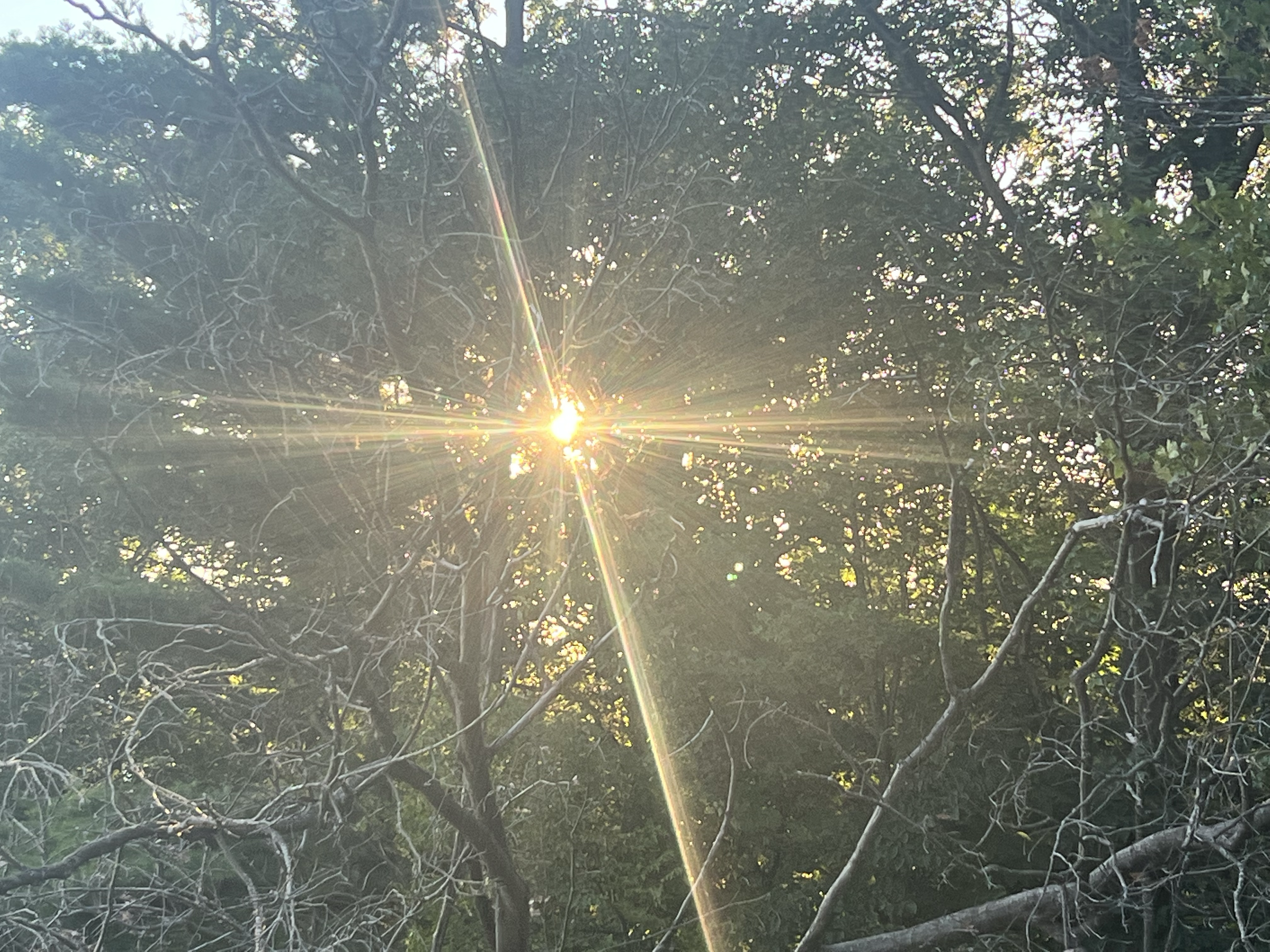 Avatar for From The Ground Up