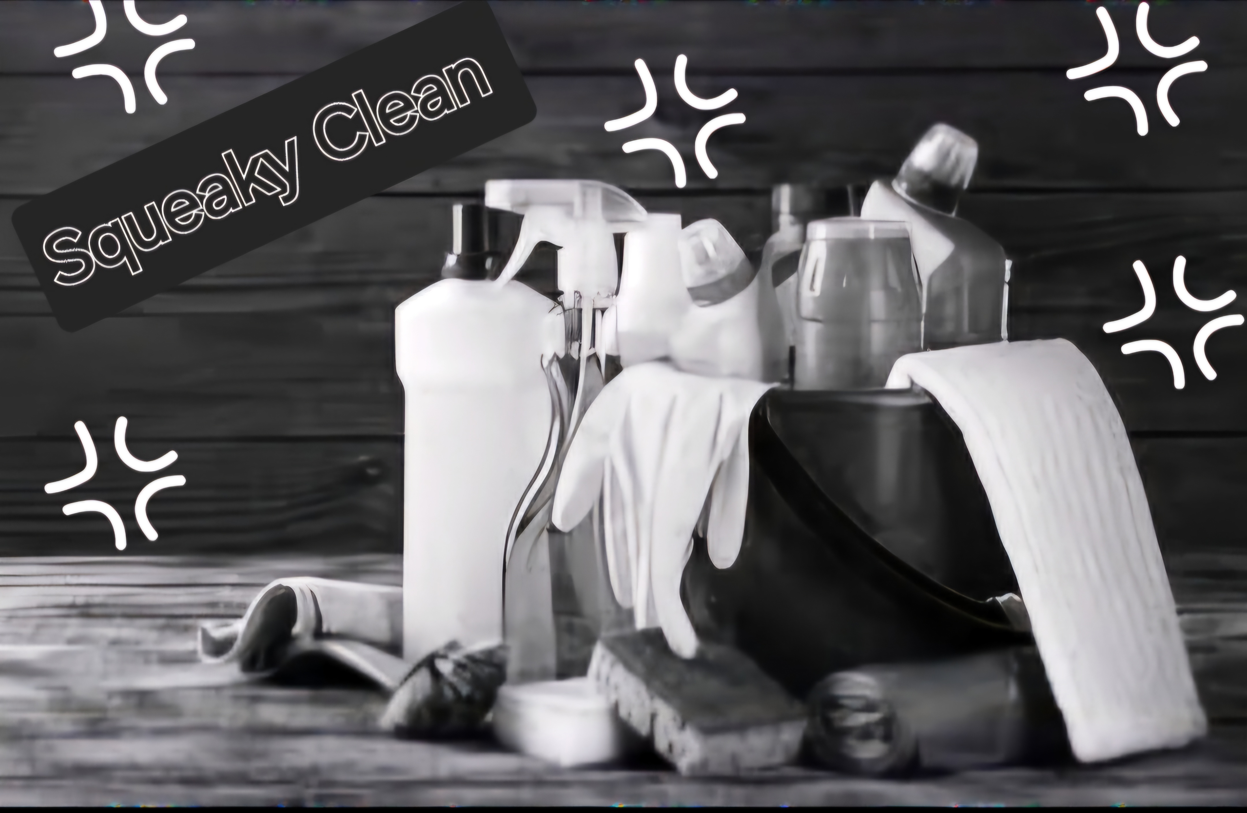 Avatar for Squeaky Clean